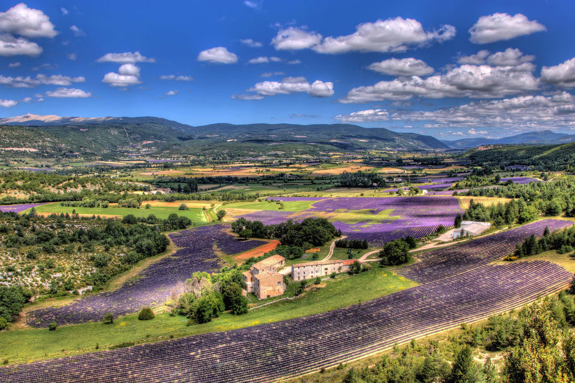 Tour da lavanda por Luberon