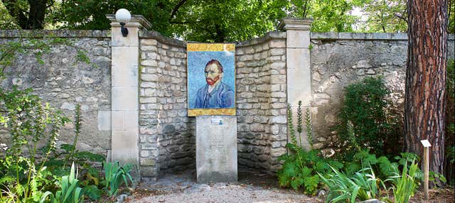 Visite sur les pas de Van Gogh en Provence