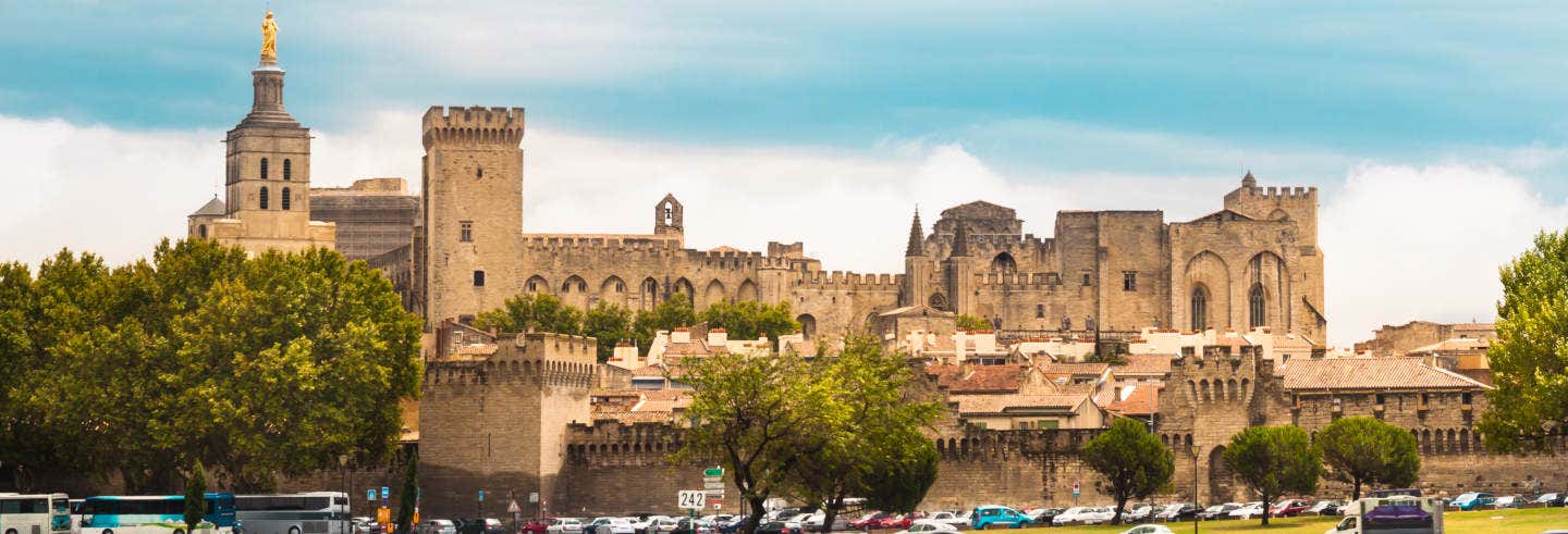 Visite guidate e free tour a Avignone