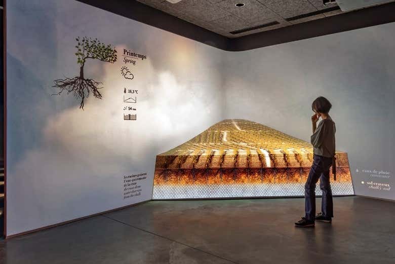 Visitando l'esposizione del museo