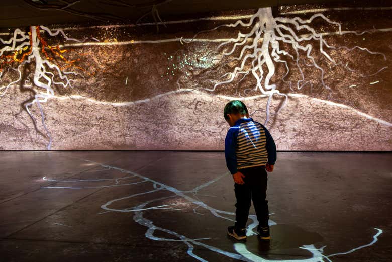 Stanza interattiva in un museo