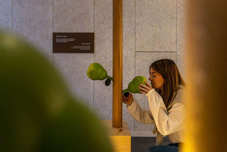 Usate i vostri cinque sensi nel museo