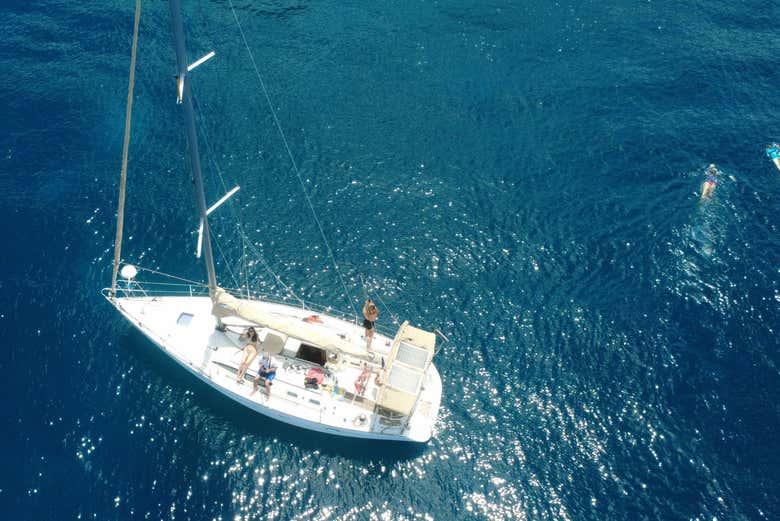 Explore the Island