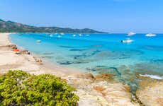Excursão a Cap Corse e Saleccia