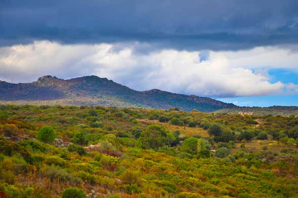 Escursione al deserto di Agriates