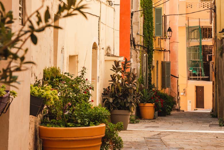 Stroll the cobblestoned streets of the city