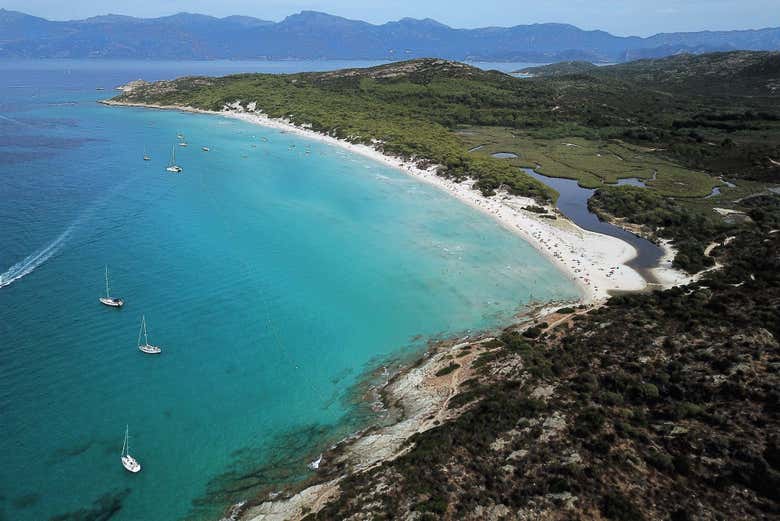 Panorámica de la playa de Saleccia