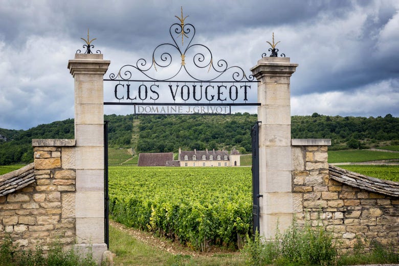 Castillo de Clos Vougeot, en la Borgoña