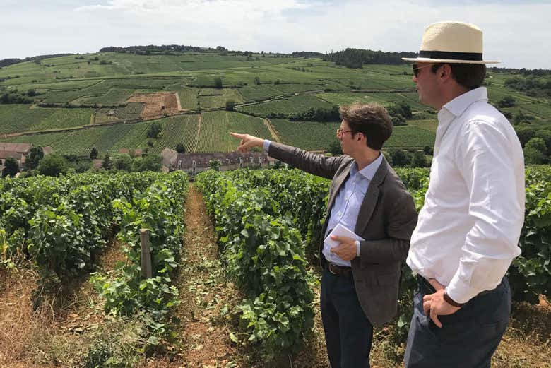 Cote de Beaune Wine Tour from Beaune Book at