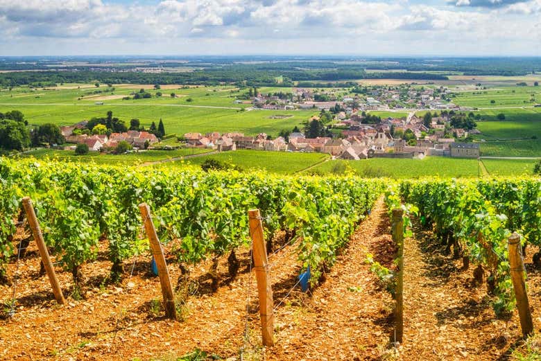 Get fantastic views of the French countryside