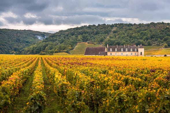 Tour del vino de Borgoña