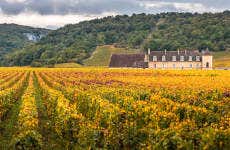 Tour del vino de Borgoña