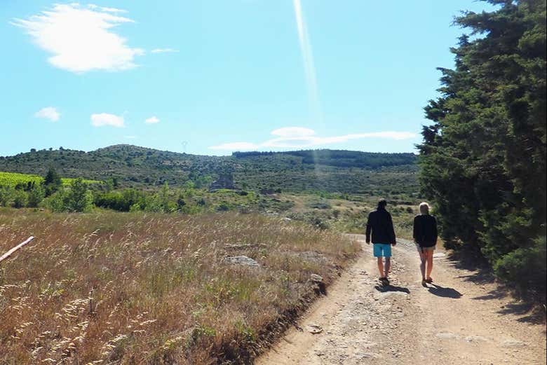 Walking among Bélesta's vineyards
