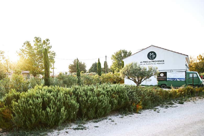 Fazenda de Un MAS en Provence