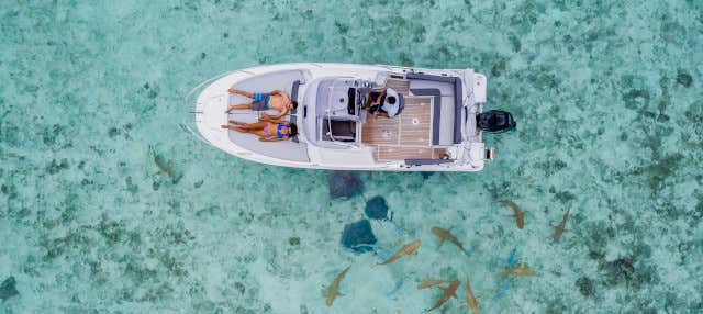 Location d'un bateau privé avec skipper
