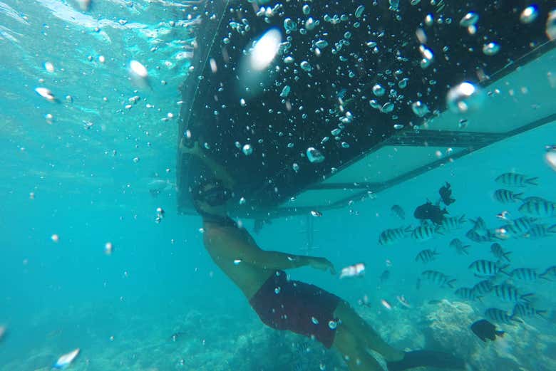 Guide attirant les poissons