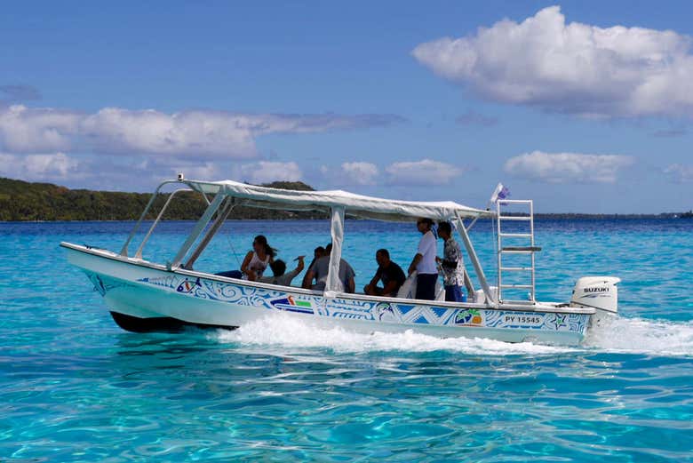 Finding the best area to snorkel