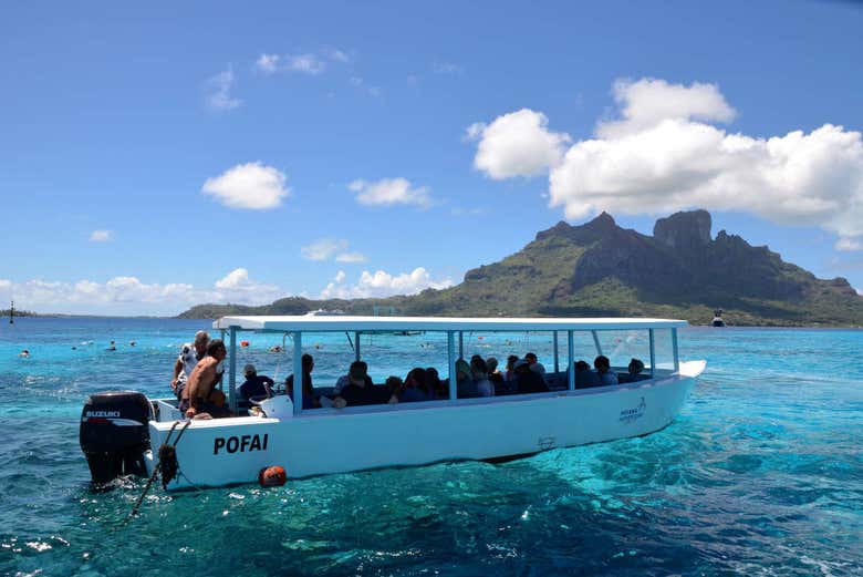 Bateau à fond de verre à Bora Bora