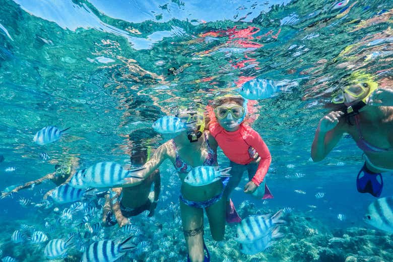 Praticando snorkel em família
