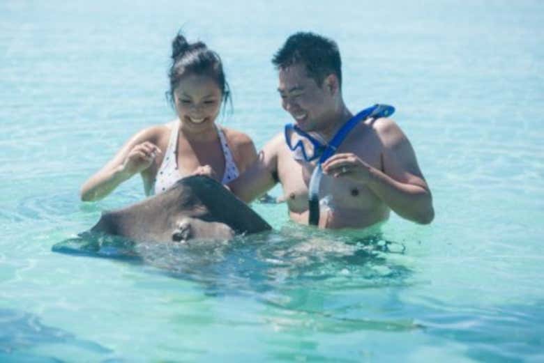 Friendly rays in Bora Bora