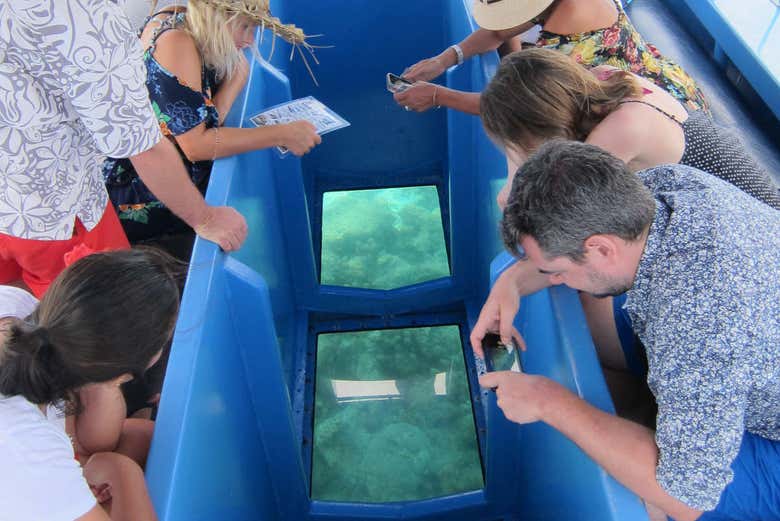 A la recherche de poissons
