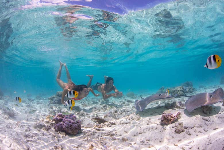 Practicando snorkel en Bora Bora