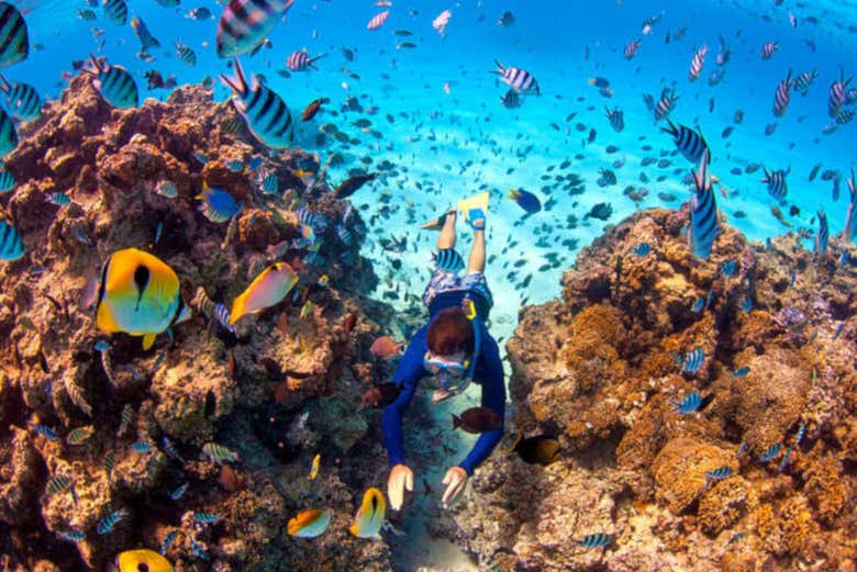 Snorkeling à Bora-Bora