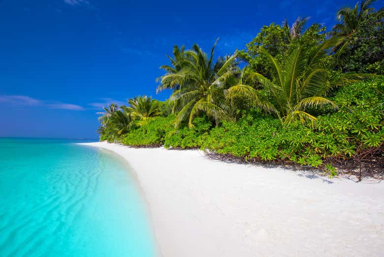 Plage sur une île privée