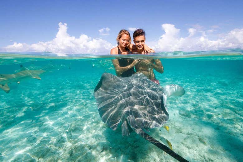 Tocando uma arraia em Bora Bora