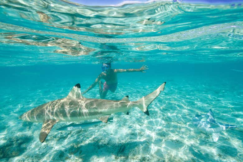 Practicando snorkel en Bora Bora