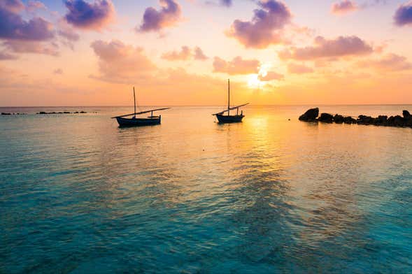 Paseo en catamarán al atardecer