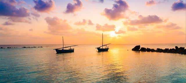 Balade en catamaran au coucher de soleil