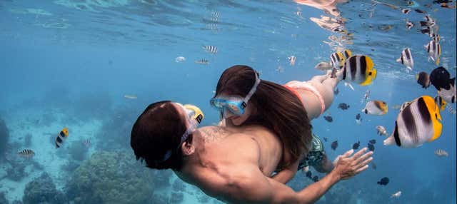 Balade en 4x4 dans Bora Bora + Snorkeling