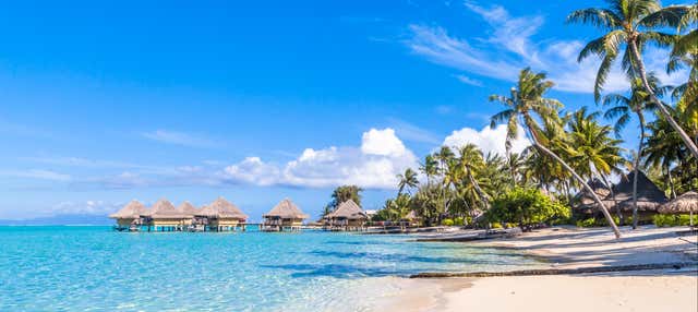 Tour en moto de agua por Bora Bora