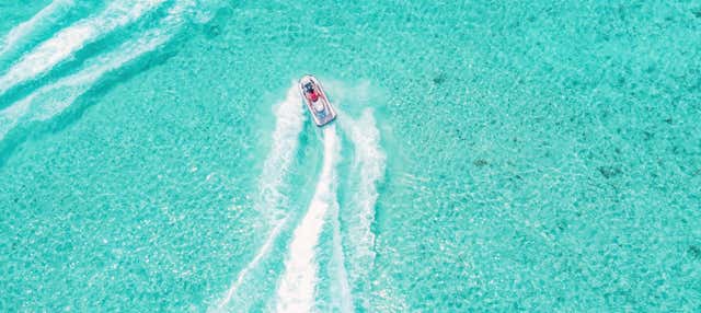 Moto de agua + Snorkel con tiburones y rayas