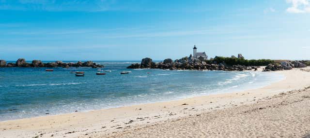 Excursión a la Costa Salvaje 