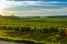 Visita a uma vinícola de Graves e Entre-deux-Mers com degustação de vinho