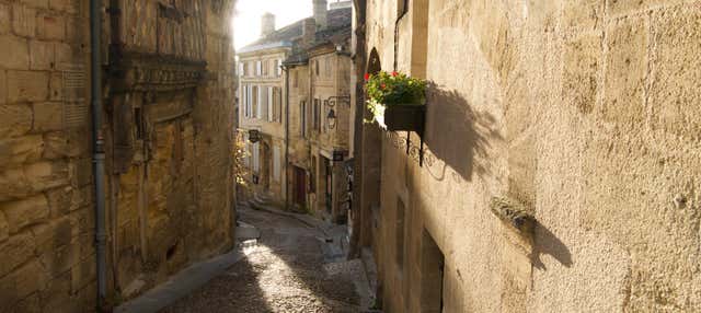 Excursão privada saindo de Bordeaux