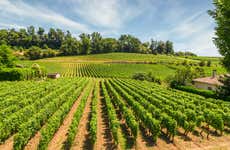 Excursión a Saint-Émilion y Pomerol