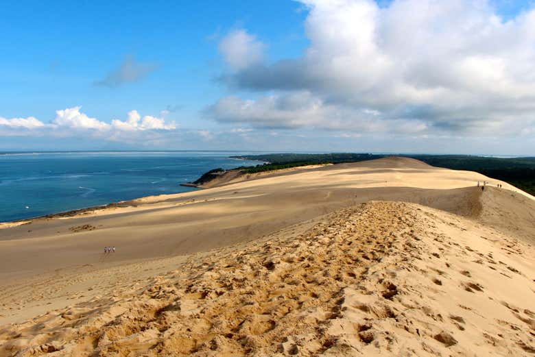Visit the tallest sand dune in Europe, the Dune of Pilat!