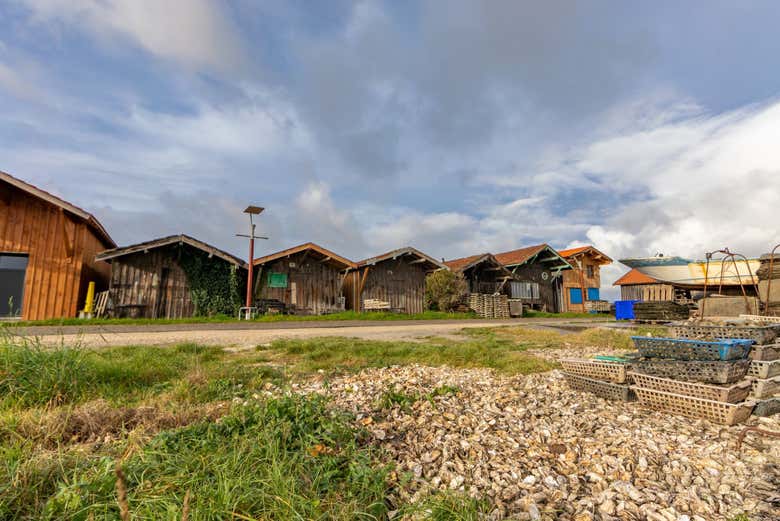Gain meaningful about the local town