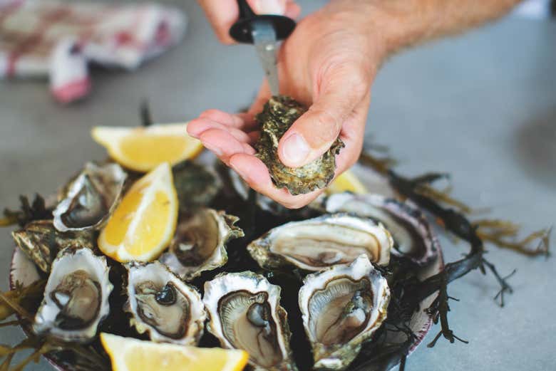 Get to know the oyster farming culture of the region