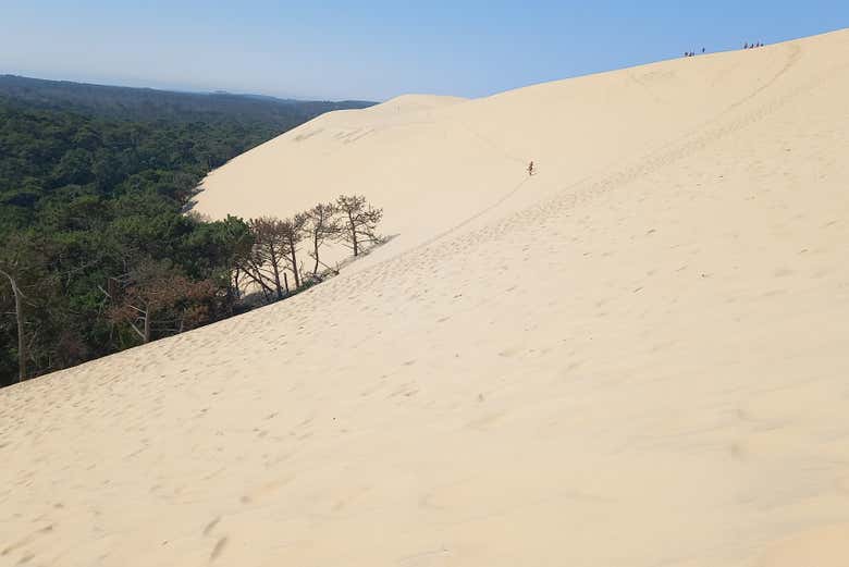Subiremos a la cima de la Duna de Pilat