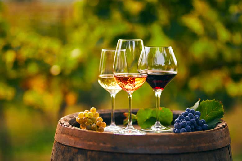 Découvrez les vins de Saint-Émilion