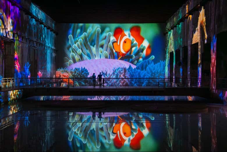 Exposition Océan