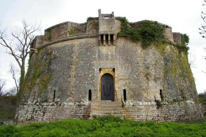 Fort Paté