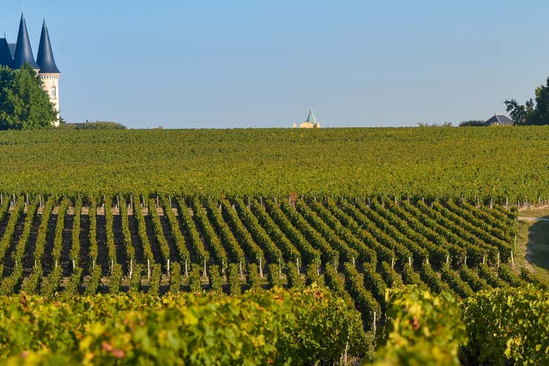 Discovering the Médoc region