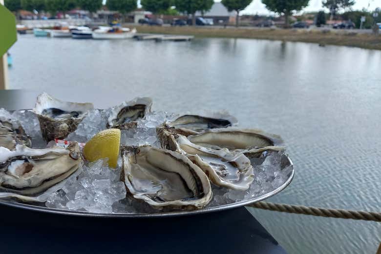 Degustaremos unas deliciosas ostras
