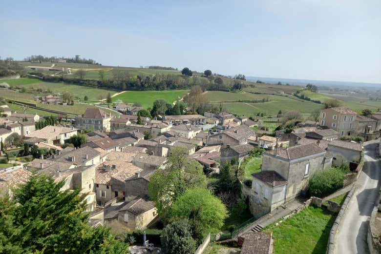 Saint-Émilion green landscapes