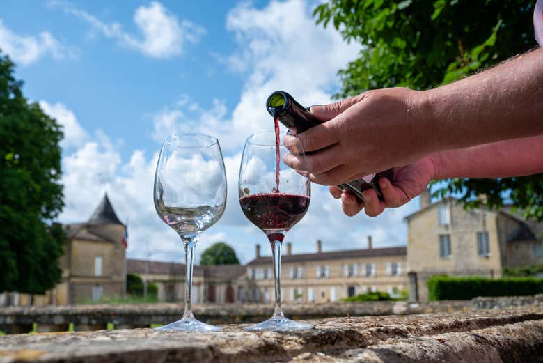 Nos deleitaremos con distintas clases de vinos locales